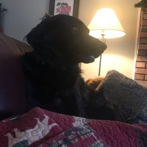 Meet your Posher, Mary grace